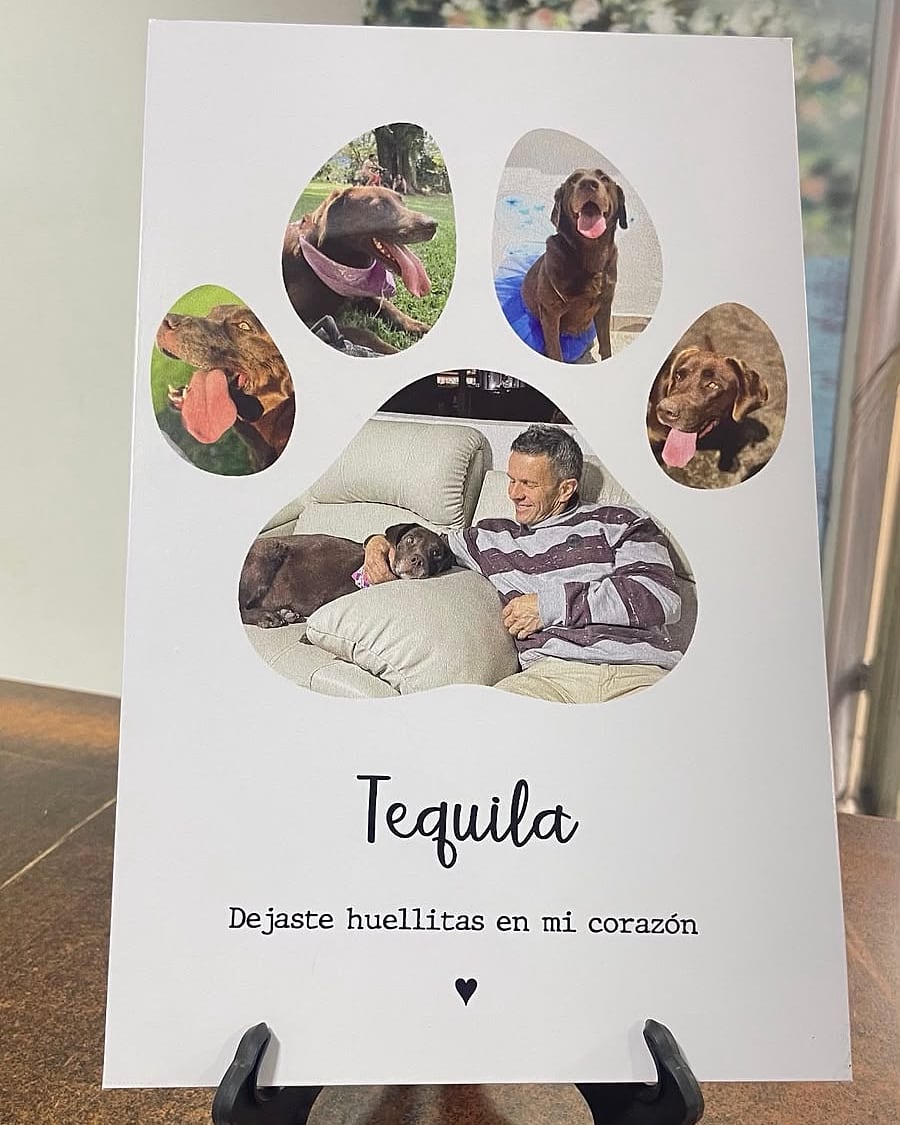 Cuadro Gerso con fotos de una mascota, sobre un atril