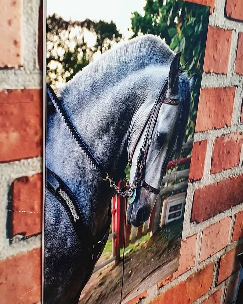 Cuadro Gerso de un caballo, colgado en una pared de ladrillo